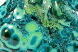 Vibrant Polished Malachite with Chrysocolla - DR Congo #305208-1